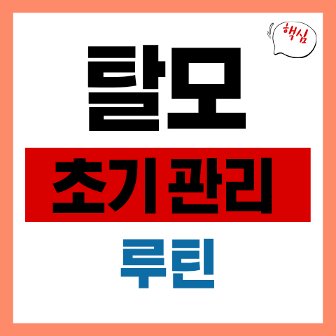 탈모 초기 관리 루틴