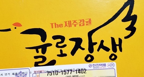 제주도 여행 시 보내준 제주감귤