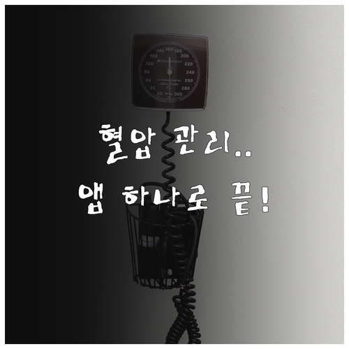 혈압 기록 어플로 내 혈압 수치와 건..