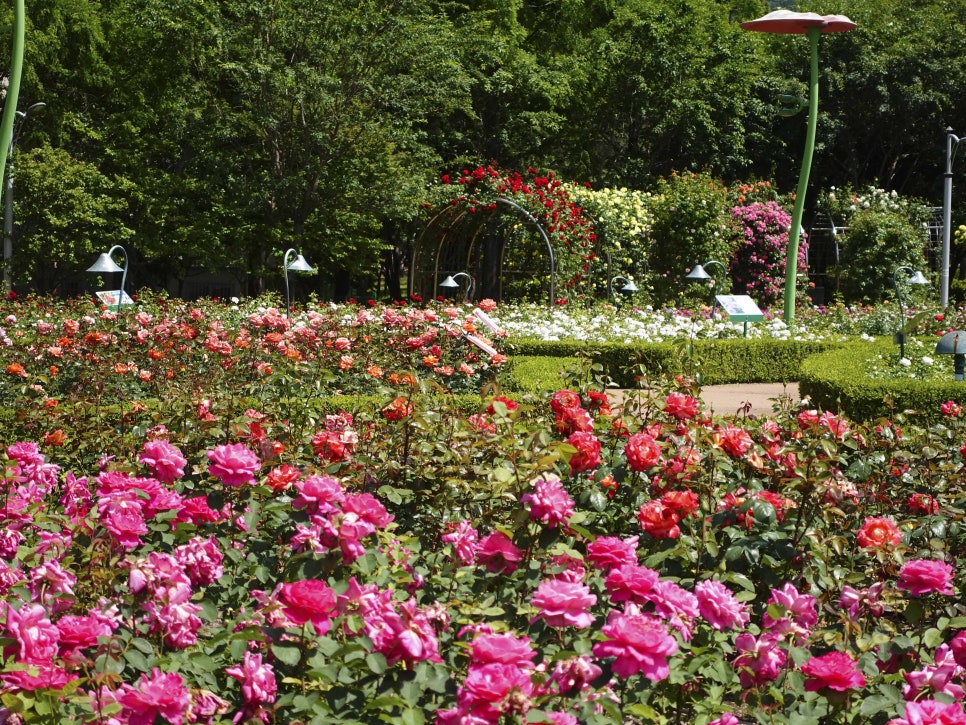 부산 정관 윗골공원