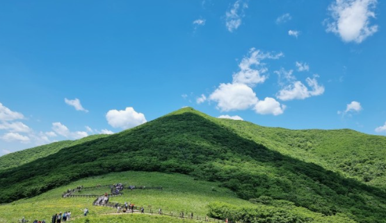 점봉산 곰배령 사진