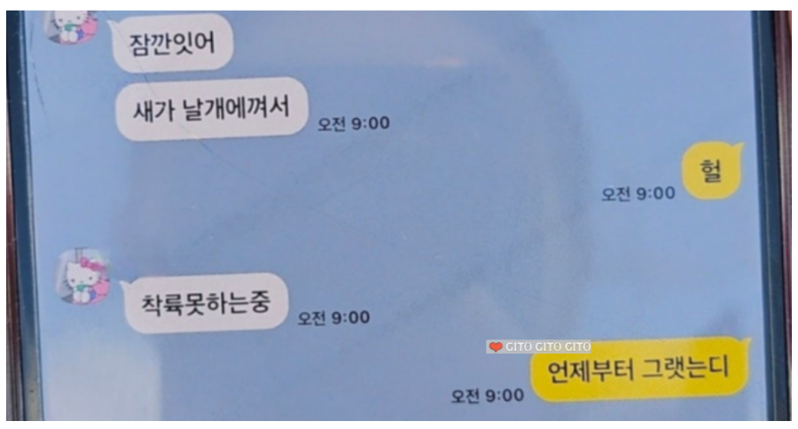 무안항공 추락 전 마지막 남긴 카톡