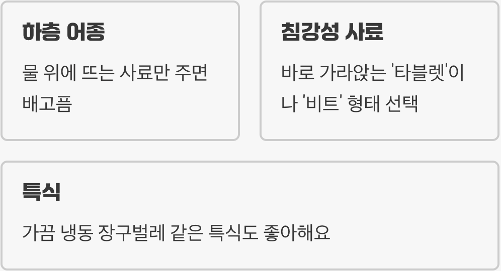 먹이, '가라앉는' 밥상을 차려주세요