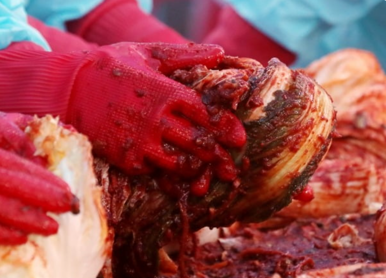 김장 20kg 양념 비율 백종원 황금레시피