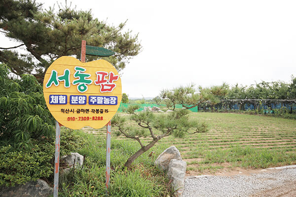 익산 서동팜
