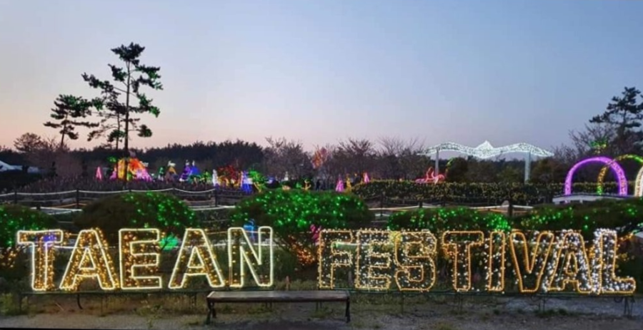 태안 가을 꽃박람회란?