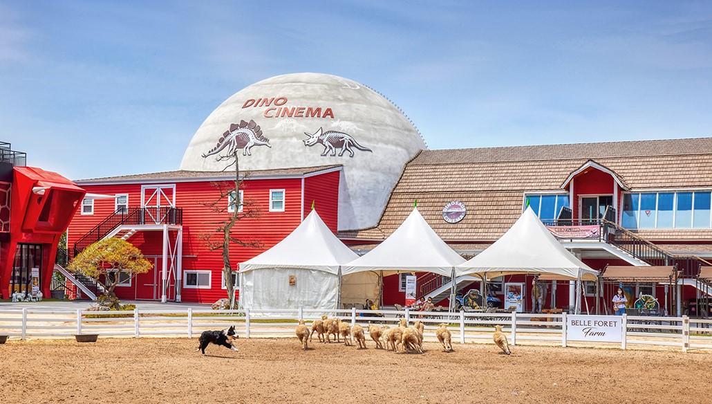 블랙스톤 벨포레 리조트