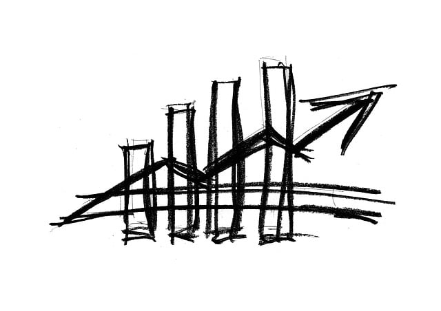 차량 담보대출 4