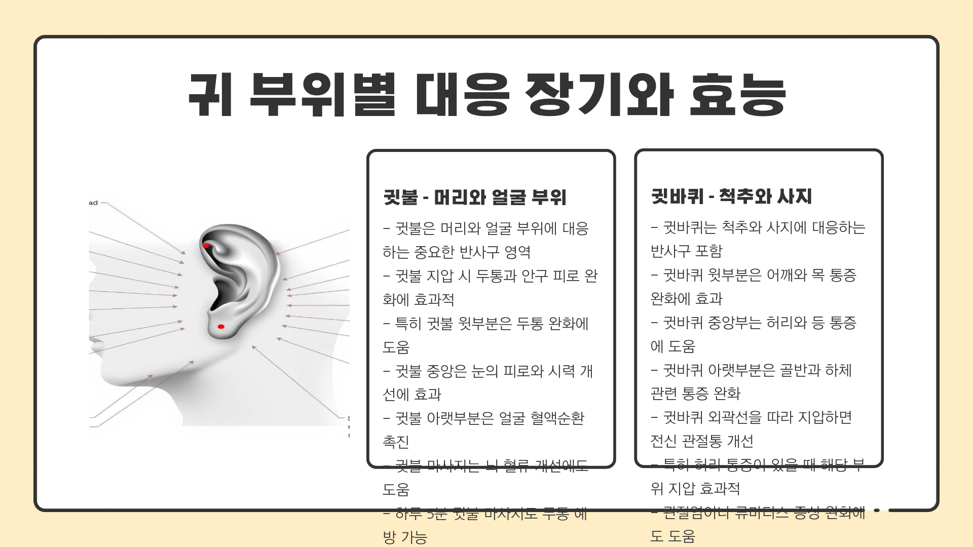 귀 혈자리 위치 | 귀 혈액순환 | 귀 혈자리 그림으로 보는 건강 관리법