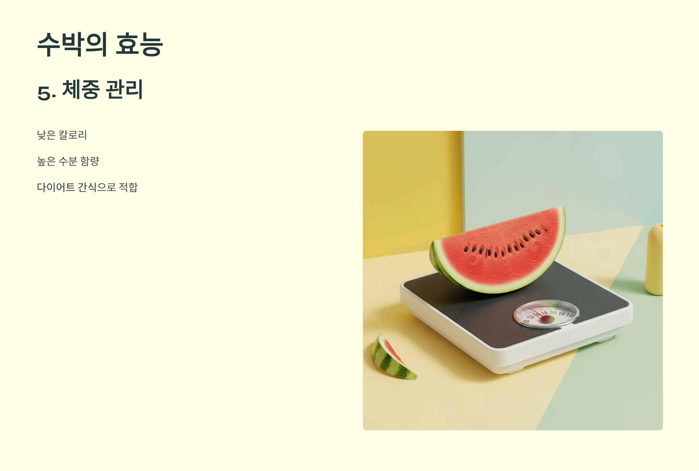 수박 사진입니다.