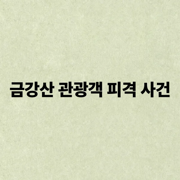 금강산 관광객 피격 사건