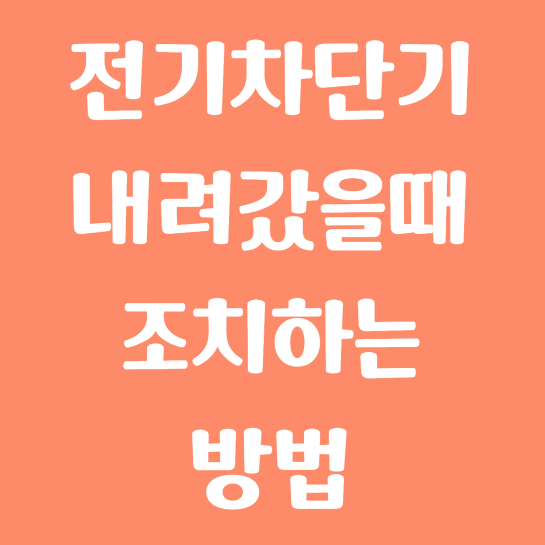 전기 차단기 내려갔을 때 조치하는 방법