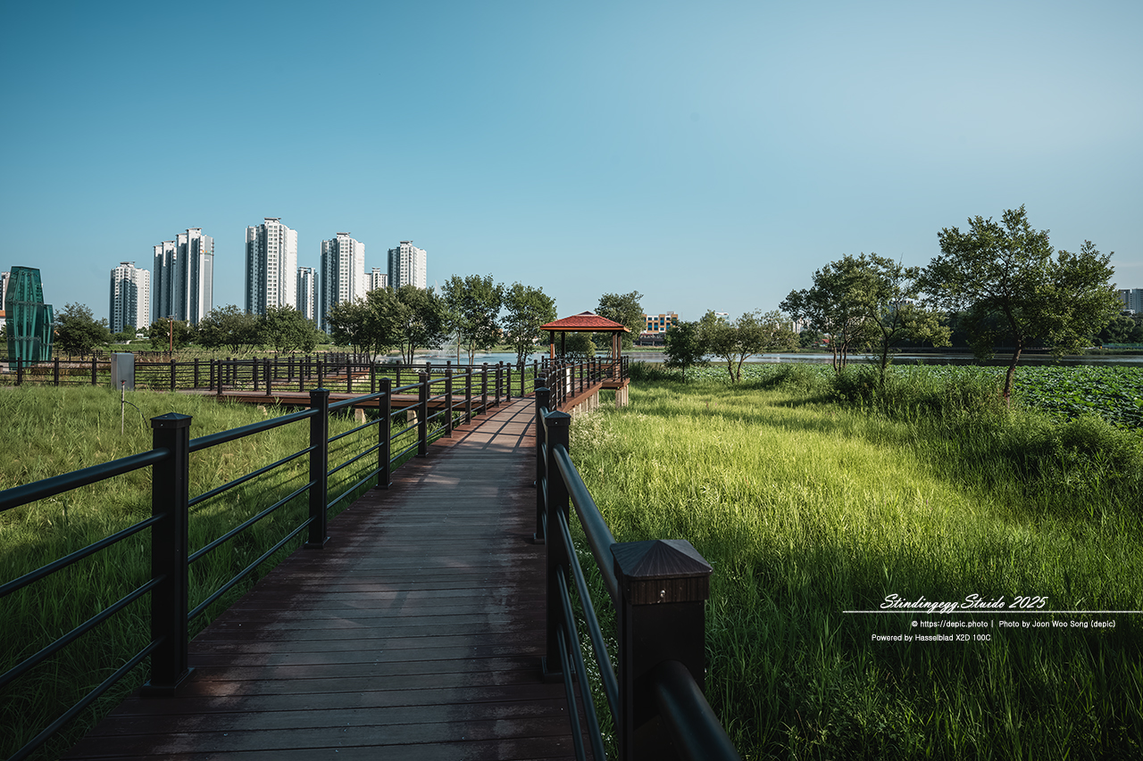 #청주 #오송 #호수공원 #오송호수공원