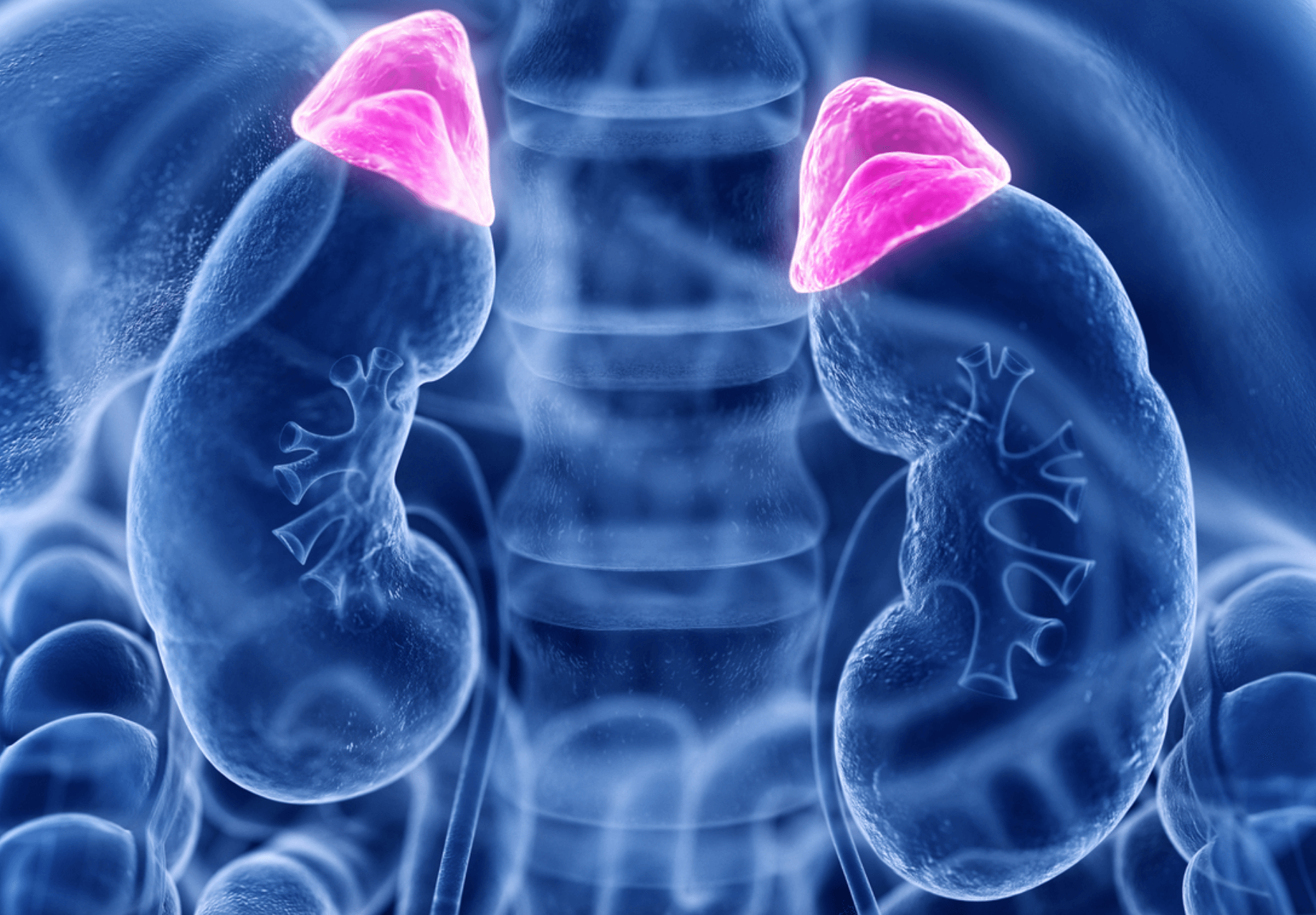 부신피질호르몬제 효능