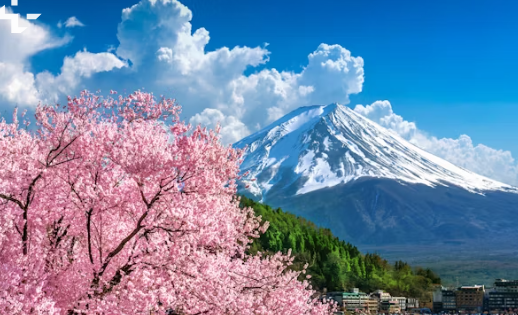 일본 입국신고서 작성법