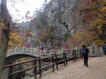 청송 주왕산 여행 코스 폭포 산책 주차 가을 단풍 포인트_6
