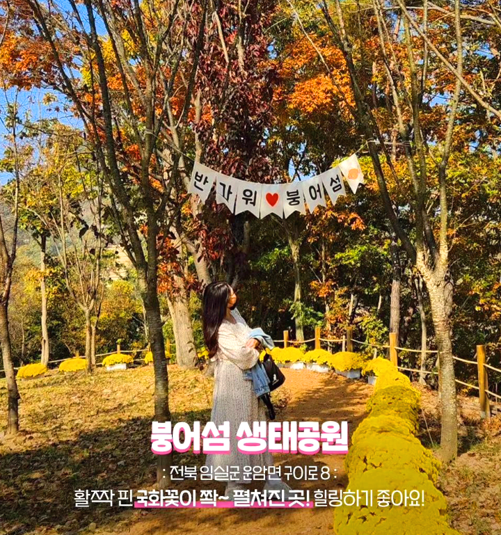 붕어섬
