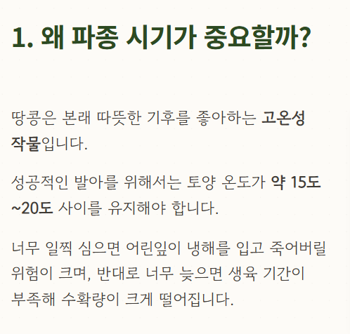 땅콩 심는시기