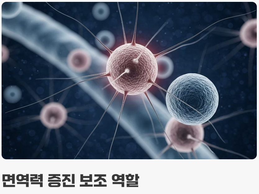 항암 효과에 대한 기대와 진실