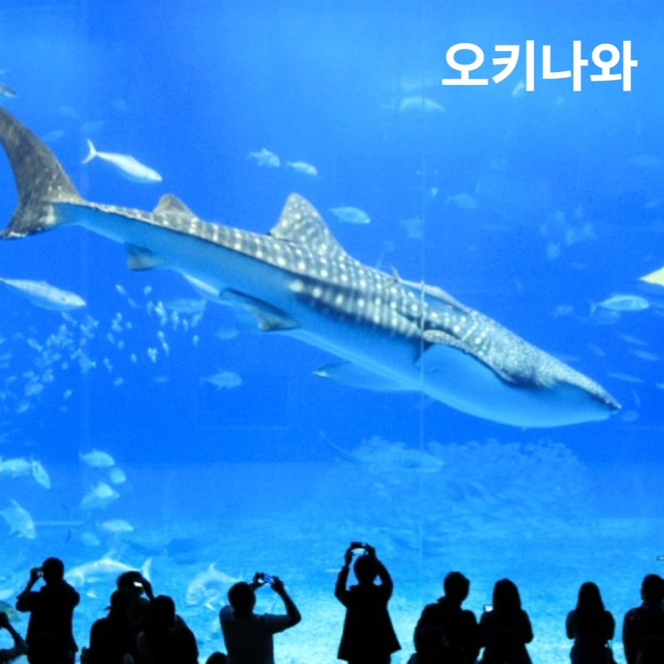 9월아기해외여행