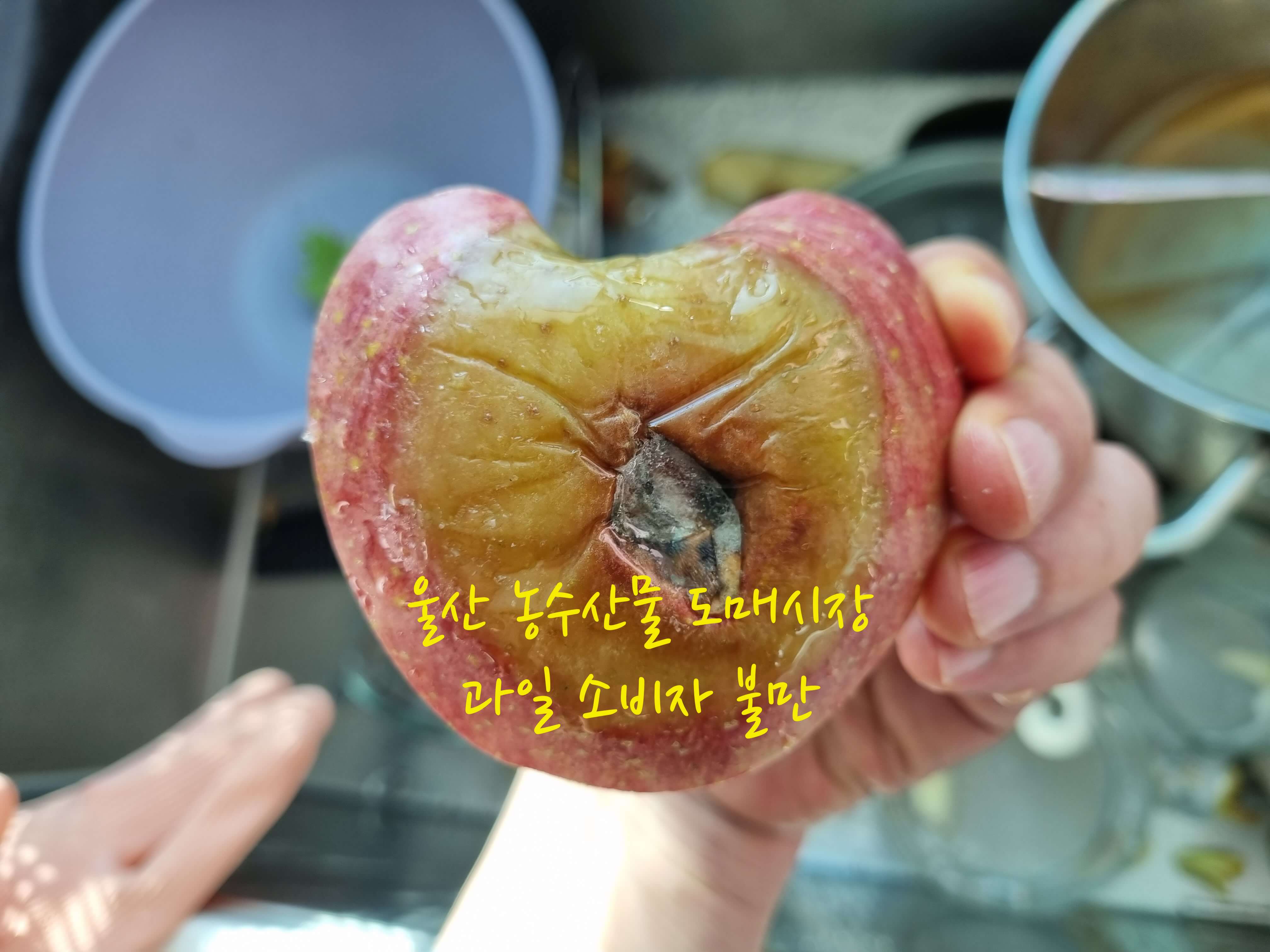 울산 농수산물 도매시장