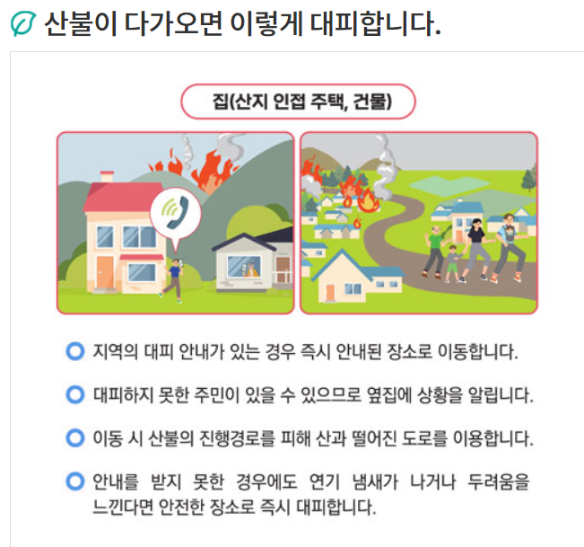 대구 산불 상황 실시간 CCTV