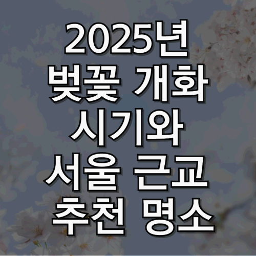 2025년 벚꽃 개화 시기와 서울 근교 추천 명소