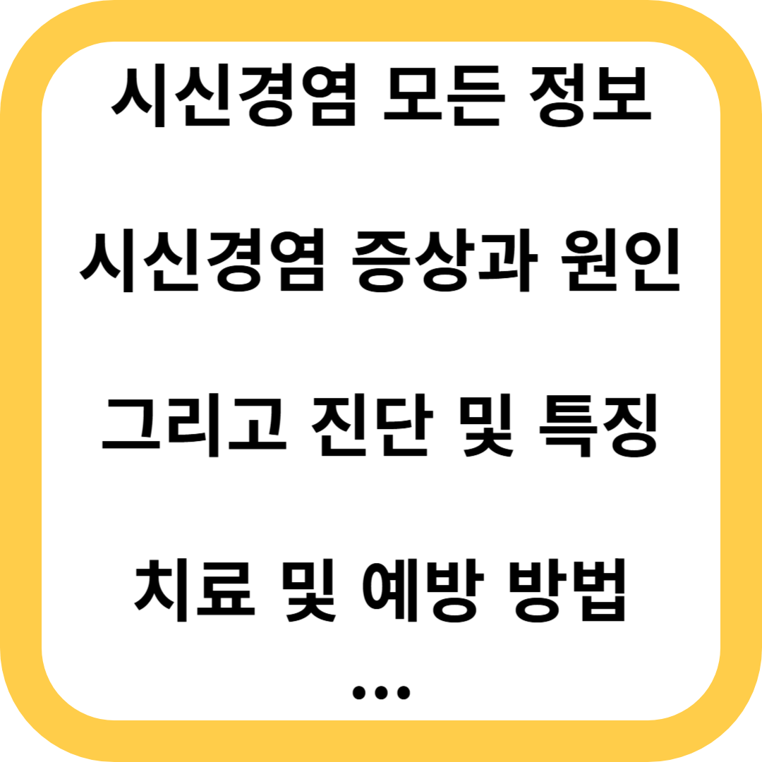 시신경염