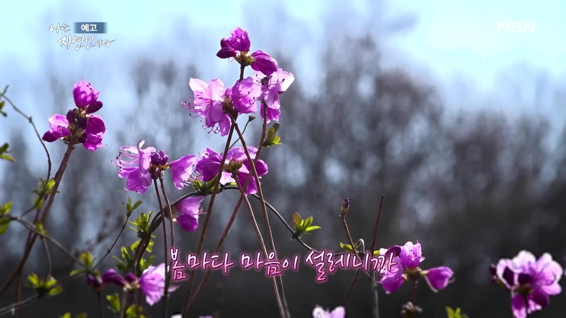 나는-자연인이다-이승윤