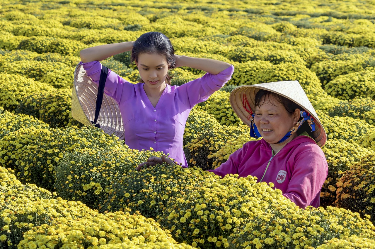 갱년기와 갑상선 질환 지역 별 통계와 연관성 비교