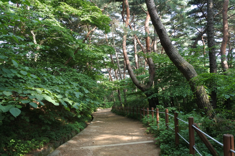 숲속길