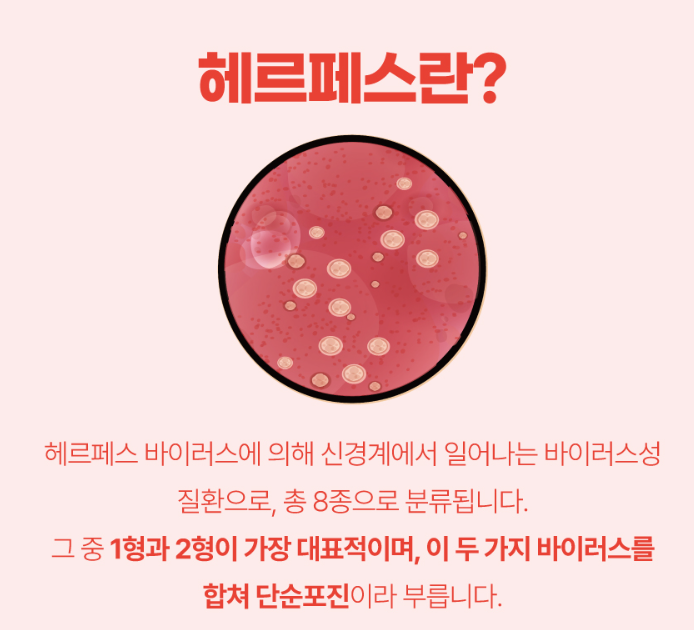 아르기닌 효능