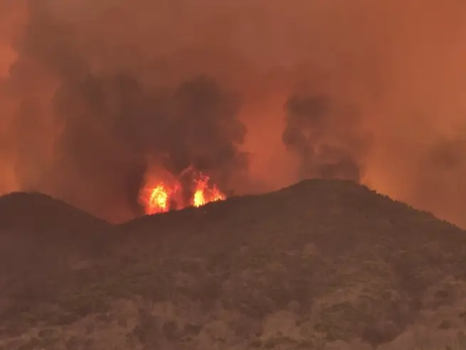 산불 소방헬기 골프녀