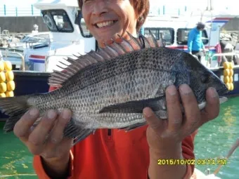 압해도 장감리 감성돔 포인트 소개와 혼자하는 낚시의 즐거움 완벽 낚시 가이드_18