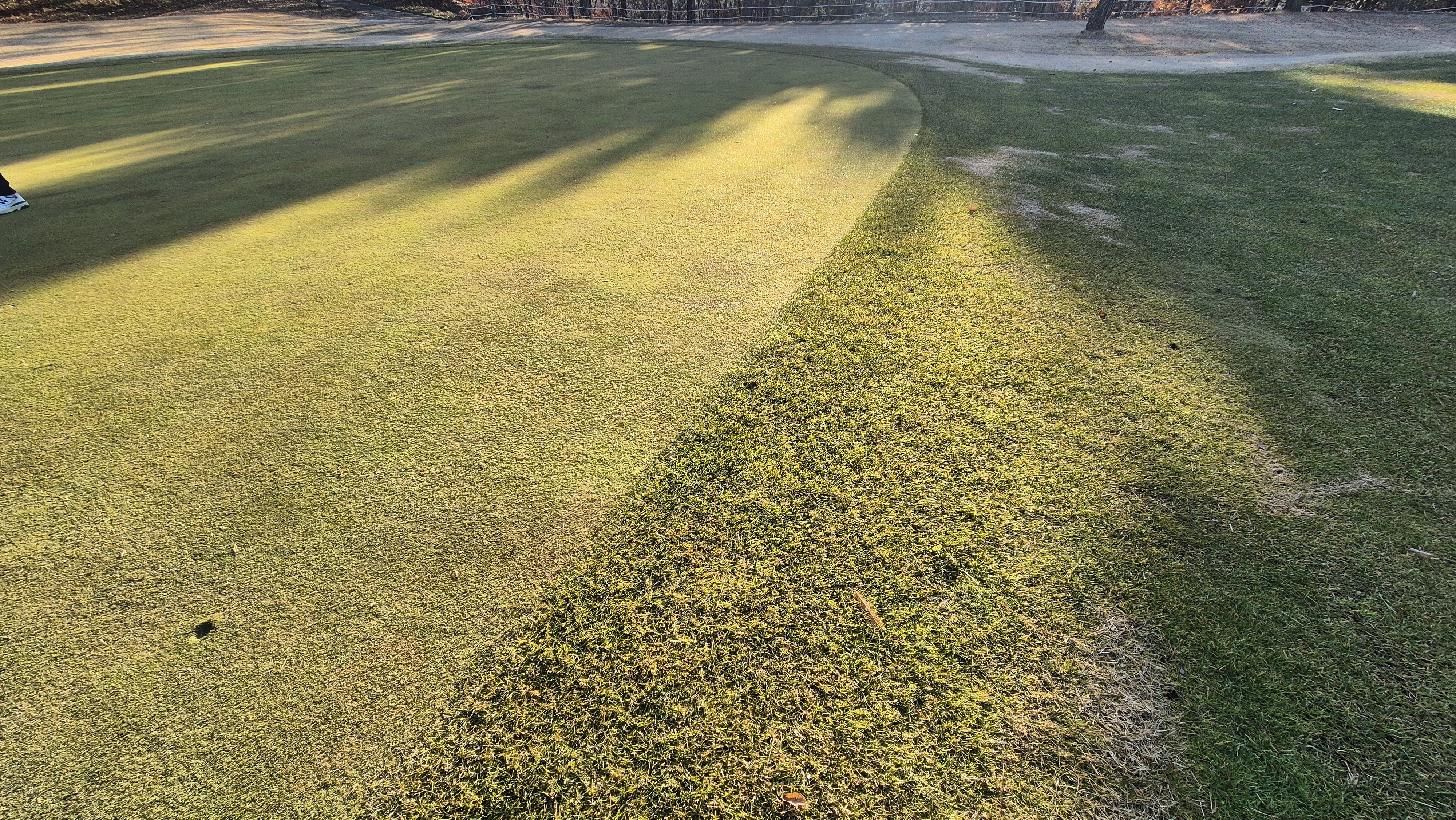 88cc 서코스 그린관리상태