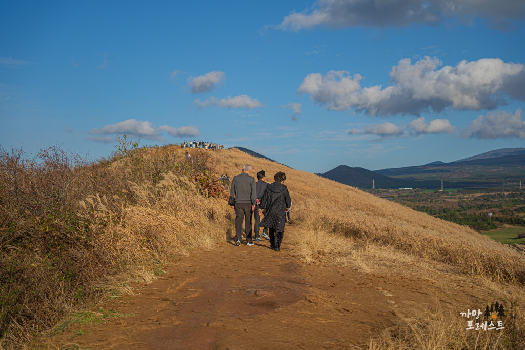 제주 새별오름 정상