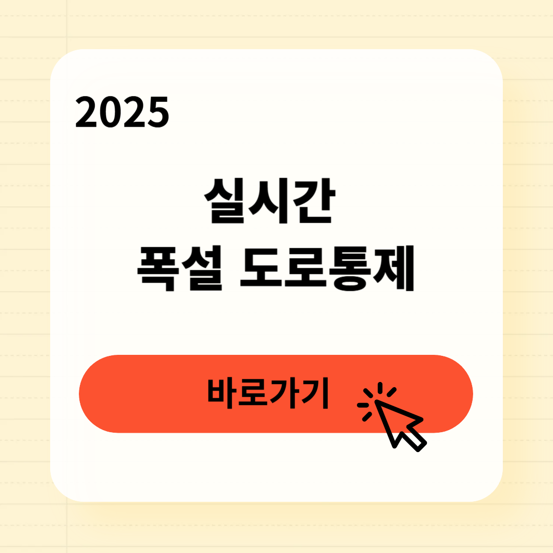 서해안 폭설 도로통제 실시간 확인법