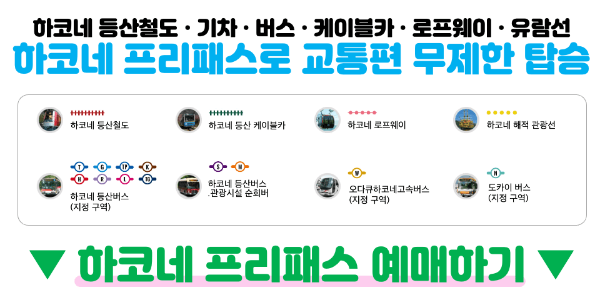 도쿄-근교-여행지-가마쿠라-에노시마-요코하마-하코네-이즈-닛코-카와고에-스이카-애플페이-일본-체크-카드-돈키호테-할인쿠폰