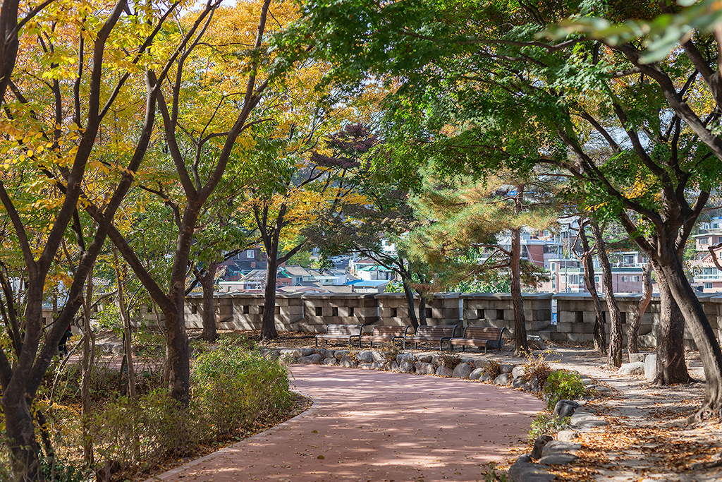 혜화문
성북동
한양도성길
백악구간
서울여행
서울단풍
가을단풍
단풍