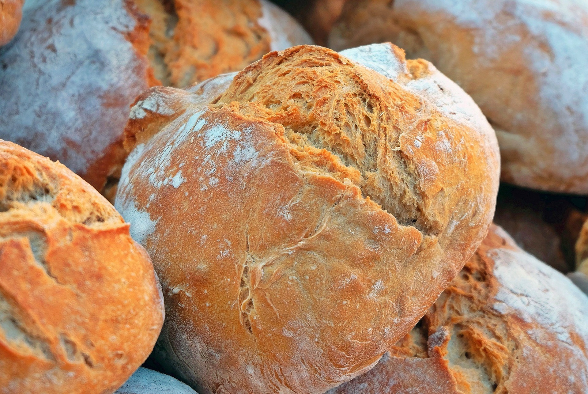 췌장을 살리는 혈당 관리의 핵심은 ‘덜 먹기’가 아닙니다