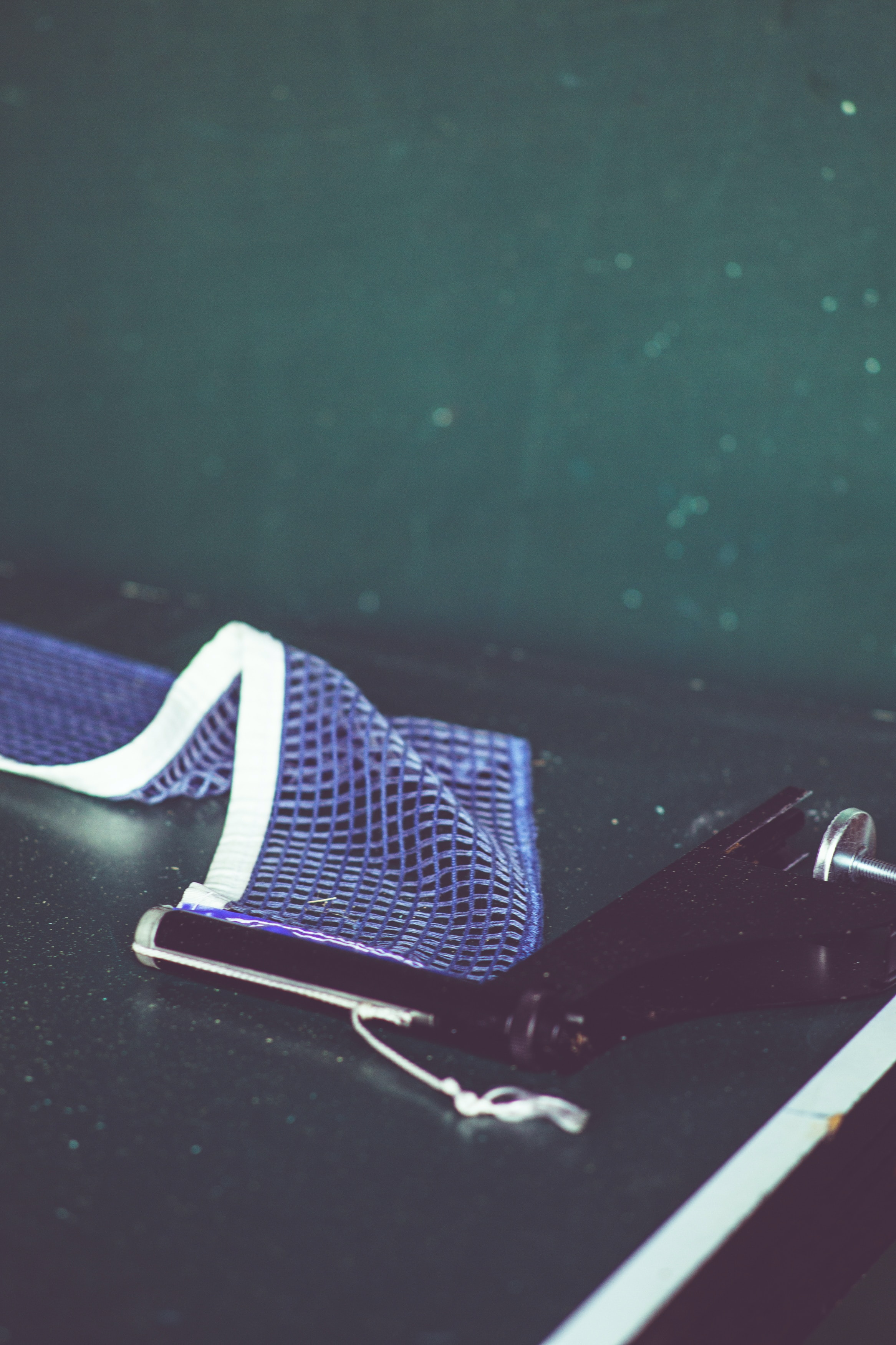 한국 팔레스타인 축구 중계