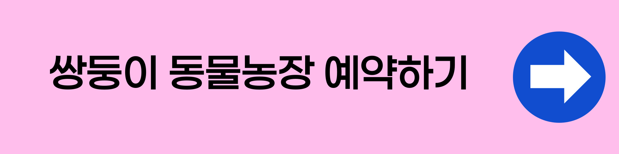 강릉쌍둥이동물농장 아이와 체험 가능한 가족 여행지