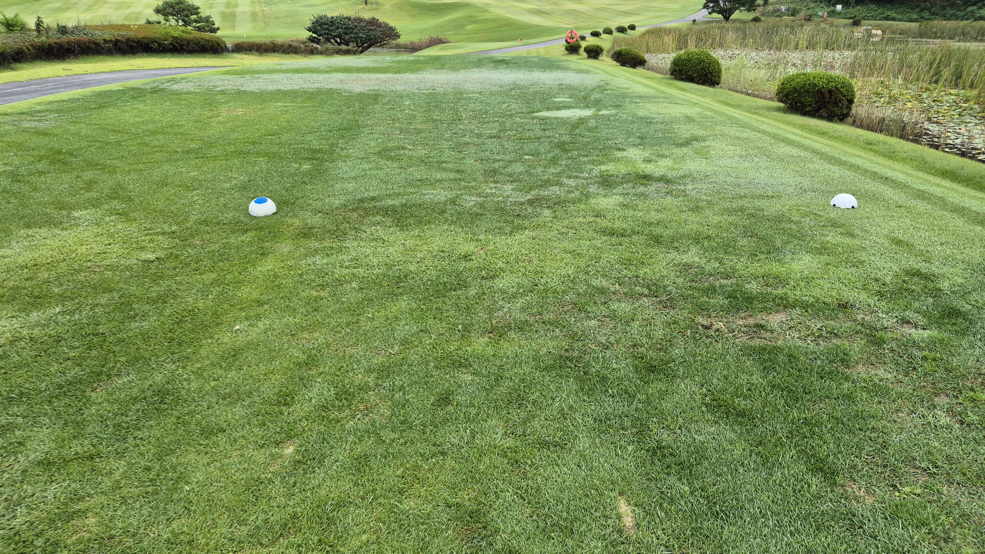 서산수cc 티잉구역 상태