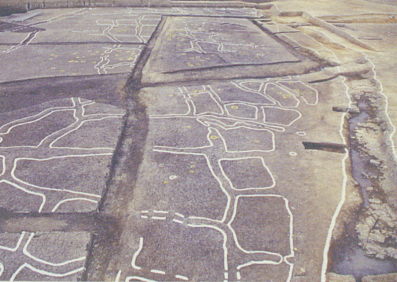 울산 무거동 옥현유적의 소구획 논