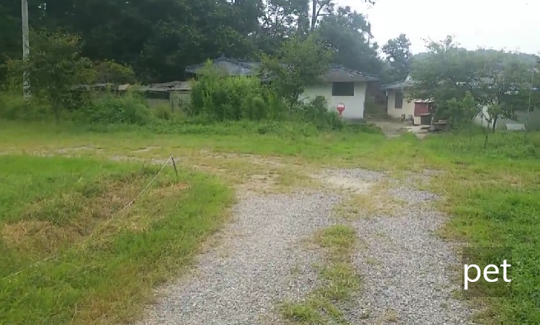 경기-파주-느티나무-그늘아래-캠핑장-예약-방법-애견-동반-가격-주소-시간-후기