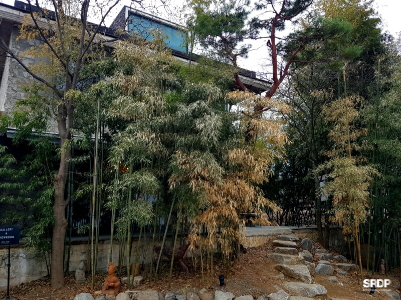 미사장-하남-미사-카페-숲속-카페-캠핑-불멍-카페-하남미사-가볼만한곳