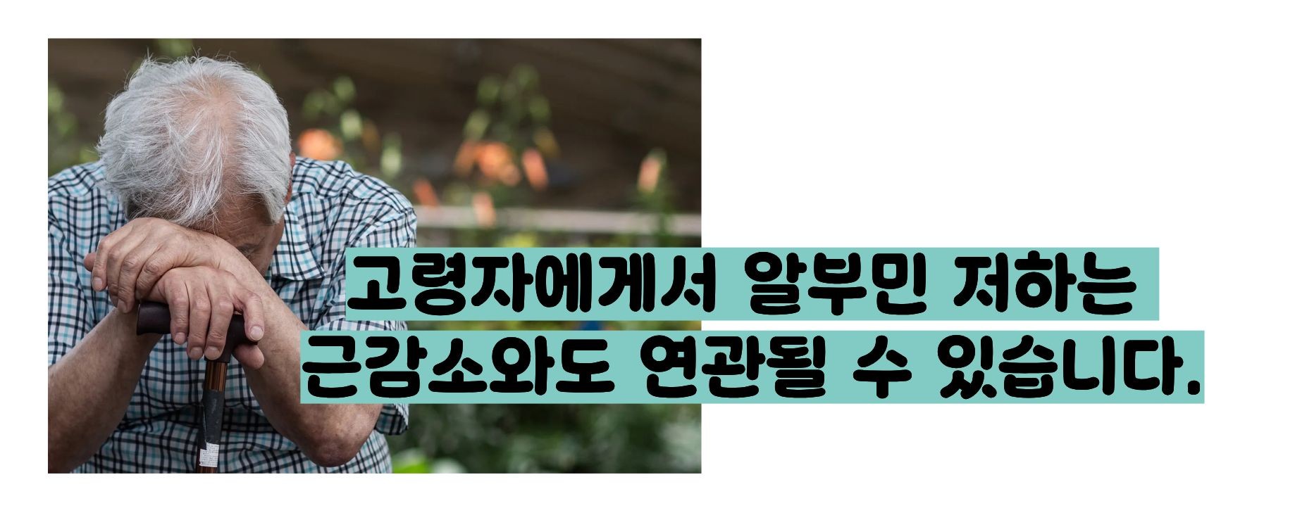 알부민 수치 낮으면