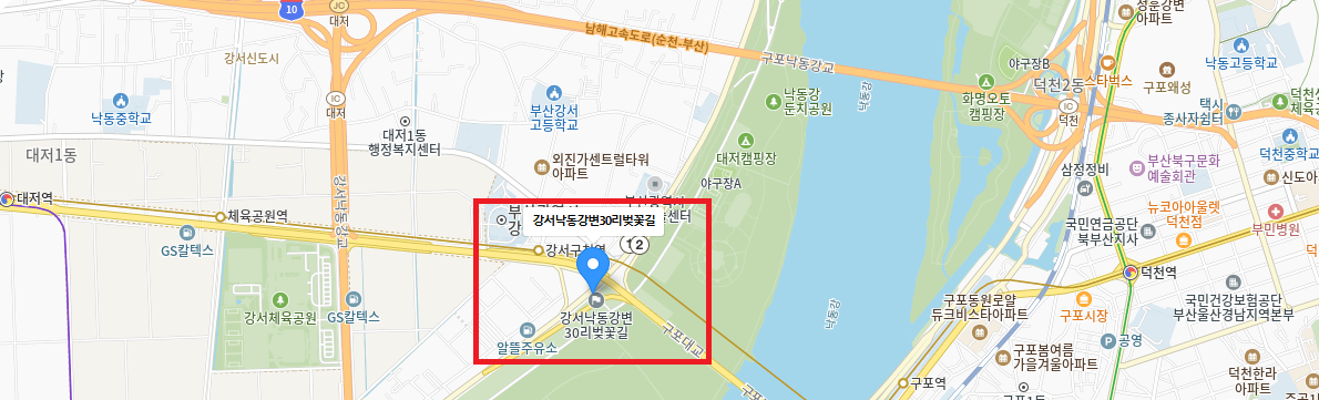 제8회 강서 낙동강 30리 벚꽃축제 행사장소 길찾기, 무료셔틀버스, 주차장 정보 확인