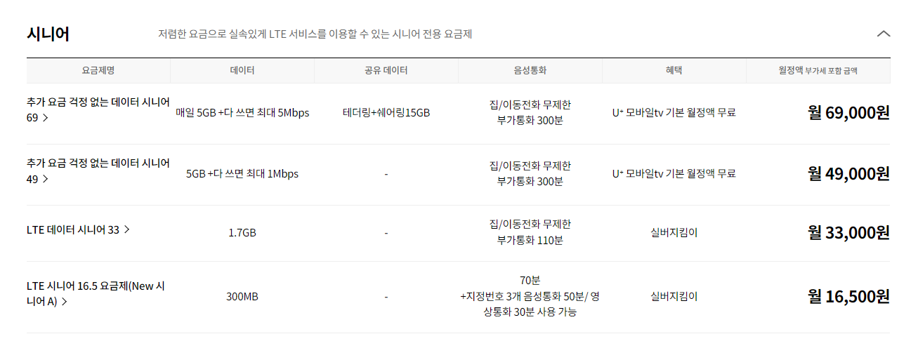 Alt 속성 문제 해결 설명 이미지