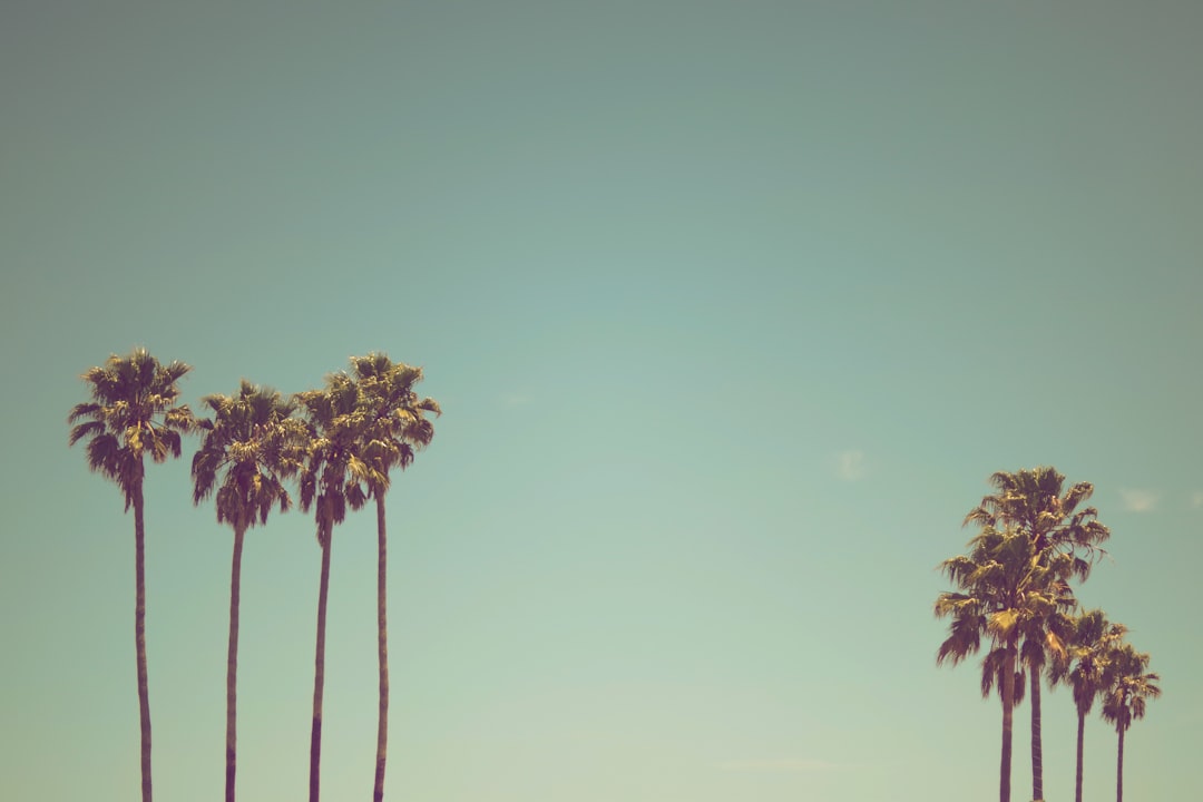 Vintage